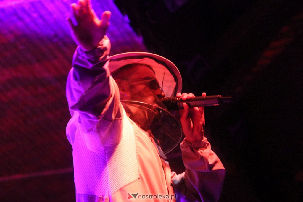 Miodobranie Kurpiowskie 2022 [28.08.2022] - zdjęcie #5 - eOstroleka.pl