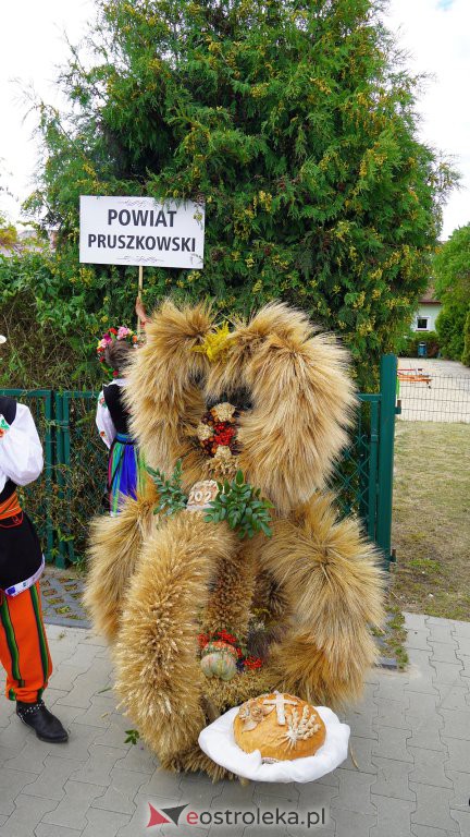 Dożynki Mazowieckie  w Lelisie [04.09.2022] - zdjęcie #130 - eOstroleka.pl