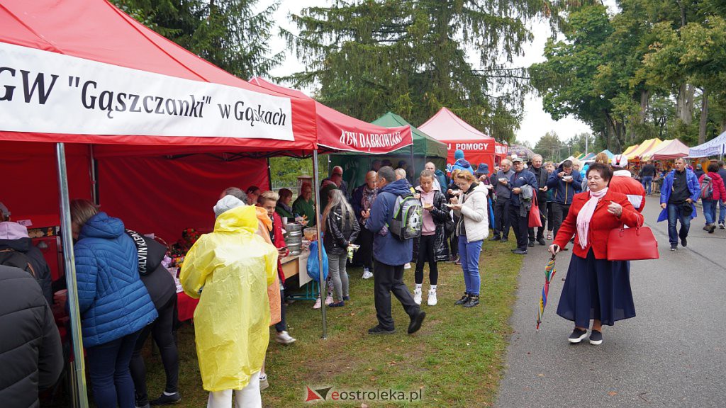 Odpust św. Anny. Pielgrzymka z Ostrołęki do Dąbrówki [11.09.2022] - zdjęcie #93 - eOstroleka.pl