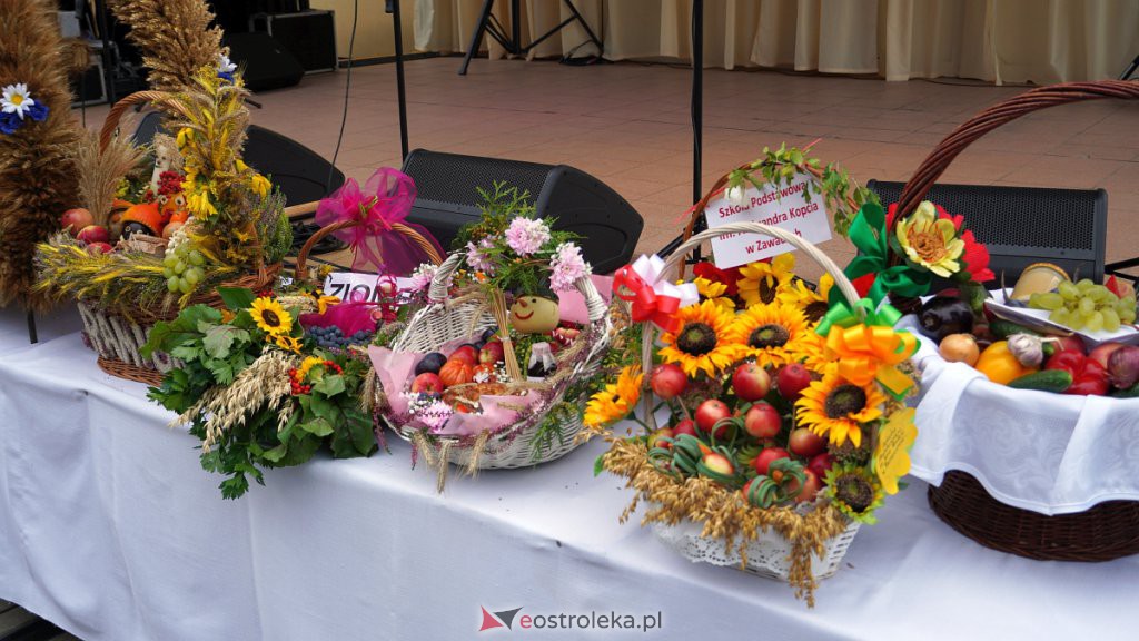 Dożynki gminne w Baranowie [11.09.2022] - zdjęcie #56 - eOstroleka.pl