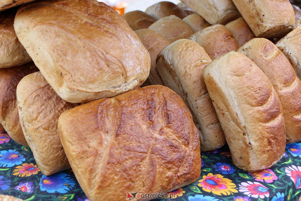 Kurpiowskie Targi Rolnicze w Ostrołęce [17.09.2022] - zdjęcie #107 - eOstroleka.pl