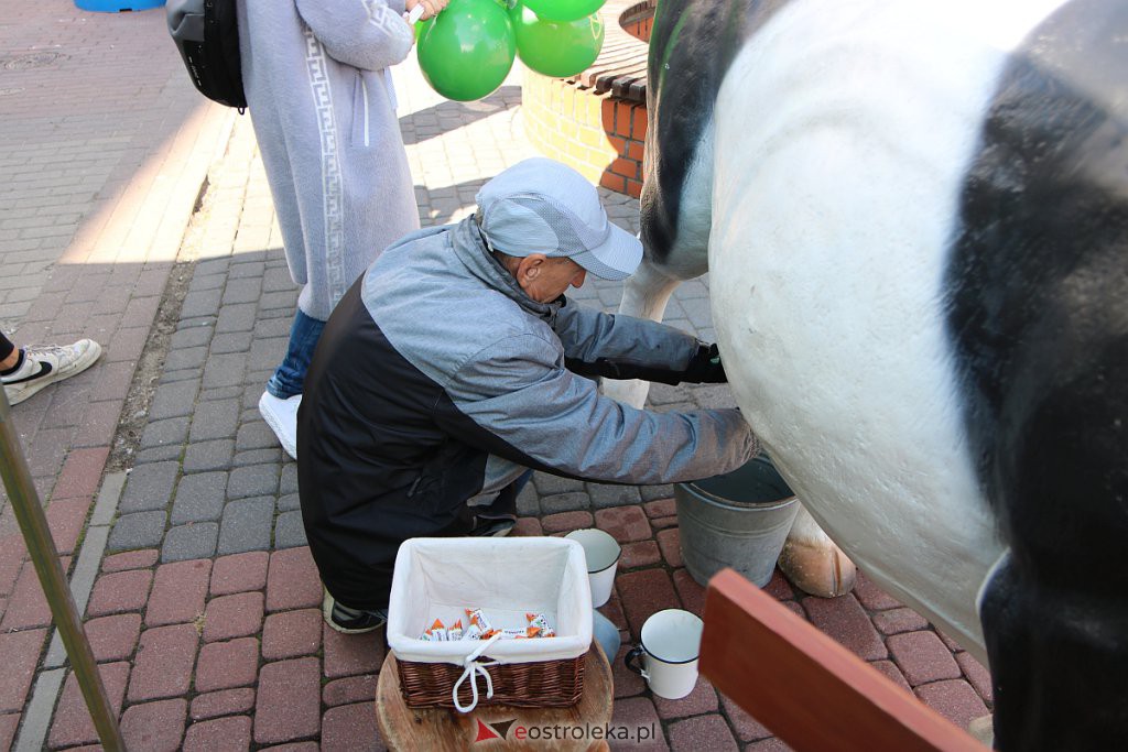 Kurpiowskie Targi Rolnicze w Ostrołęce [17.09.2022] - zdjęcie #71 - eOstroleka.pl