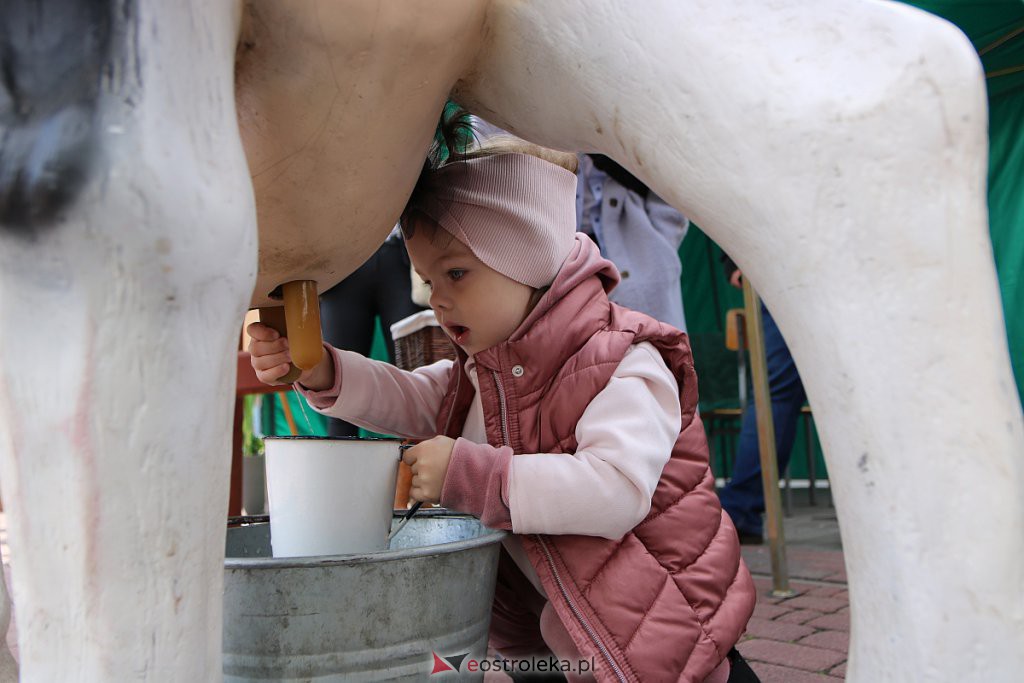 Kurpiowskie Targi Rolnicze w Ostrołęce [17.09.2022] - zdjęcie #59 - eOstroleka.pl