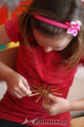 Warsztaty regionalne (23-03-2011) - zdjęcie #3 - eOstroleka.pl