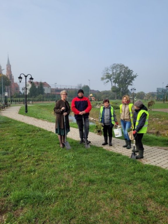 Urząd Miejski w Myszyńcu wziął udział w akcji #sadziMy  - zdjęcie #8 - eOstroleka.pl