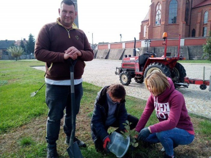 Urząd Miejski w Myszyńcu wziął udział w akcji #sadziMy  - zdjęcie #2 - eOstroleka.pl
