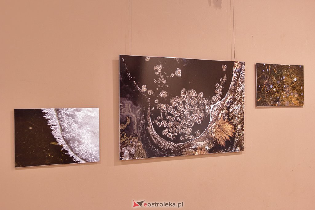 OFF 2022. Otwarto kolejne wystawy [07.10.2022] - zdjęcie #5 - eOstroleka.pl