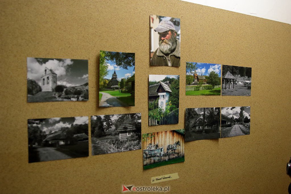 Galeria Bezdomna 2022 [09.10.2022] - zdjęcie #28 - eOstroleka.pl