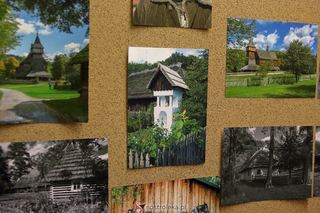 Galeria Bezdomna 2022 [09.10.2022] - zdjęcie #27 - eOstroleka.pl