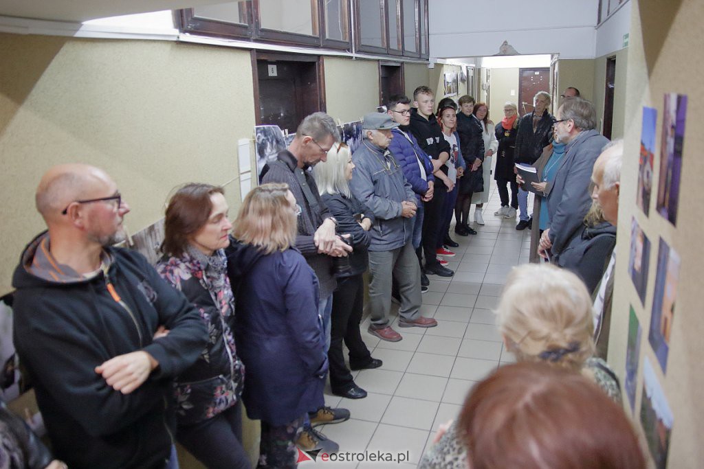 Galeria Bezdomna 2022 [09.10.2022] - zdjęcie #11 - eOstroleka.pl