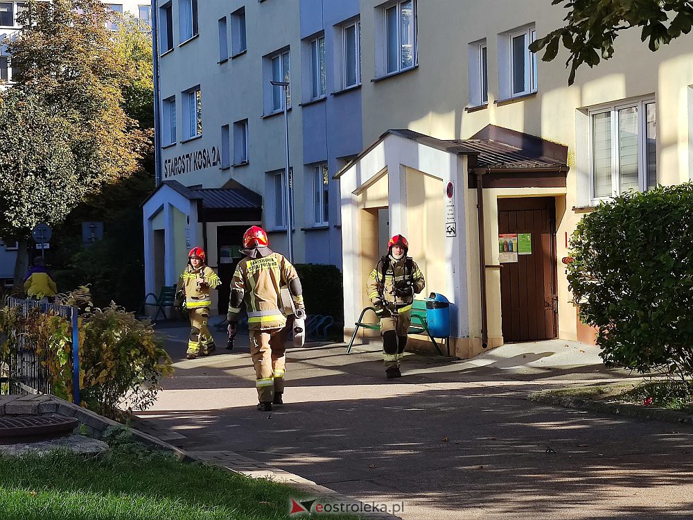 Akcja strażaków w wieżowcu przy Starosty Kosa [10.10.2022] - zdjęcie #2 - eOstroleka.pl