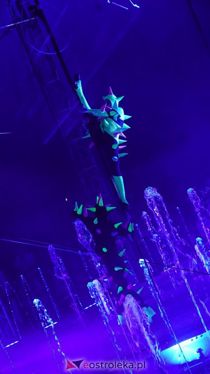 Cyrk na wodzie Waterland w Ostrołęce [14.10.2022] - zdjęcie #105 - eOstroleka.pl