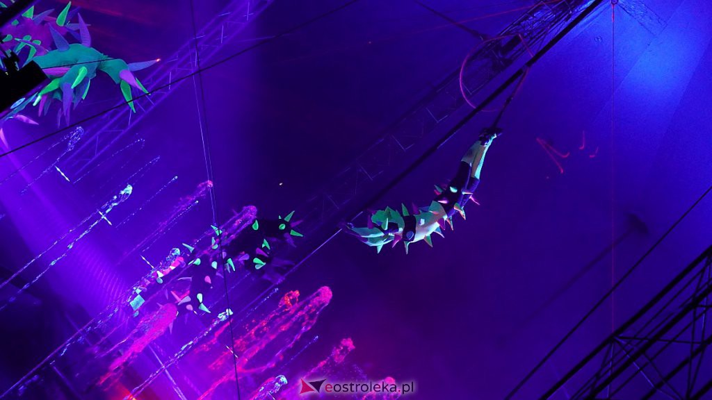 Cyrk na wodzie Waterland w Ostrołęce [14.10.2022] - zdjęcie #103 - eOstroleka.pl