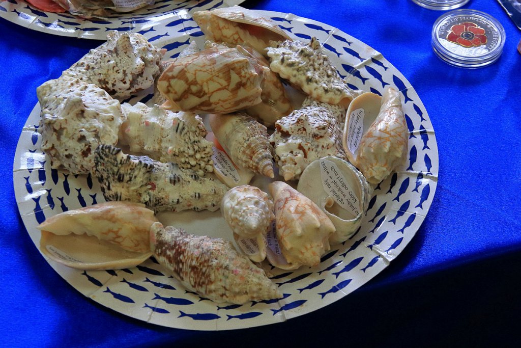 Kolekcjonerska giełda w Klubie Lokator. Co dziś było w ofercie? [16.10.2022] - zdjęcie #12 - eOstroleka.pl