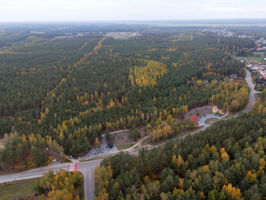 III Grzybobranie „Panienki za wysmukłym gonią borowikiem” [16.10.2022] - zdjęcie #48 - eOstroleka.pl