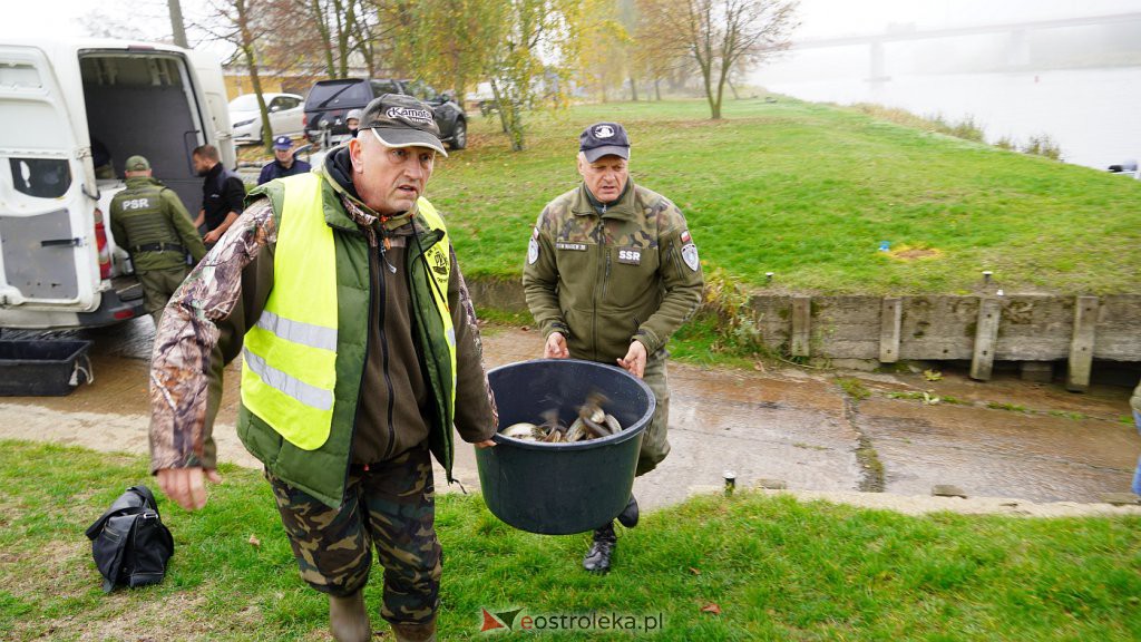 Akcja zarybiania Narwi [27.10.2022] - zdjęcie #20 - eOstroleka.pl