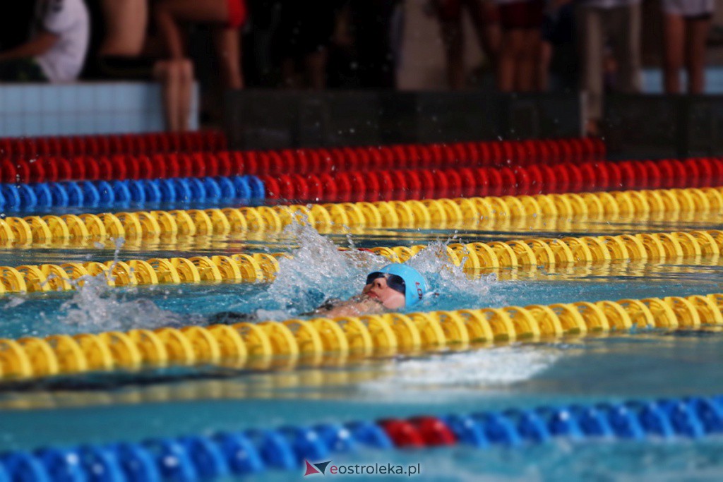 Mistrzostwa Ostrołęki w pływaniu [29.10.2022] - zdjęcie #38 - eOstroleka.pl