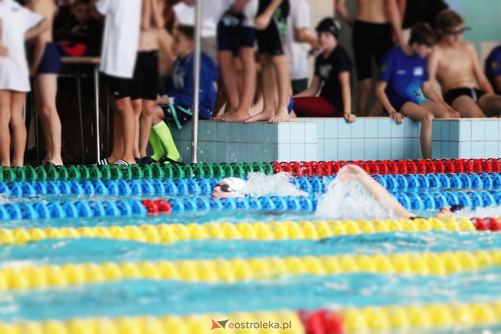 Mistrzostwa Ostrołęki w pływaniu [29.10.2022] - zdjęcie #39 - eOstroleka.pl