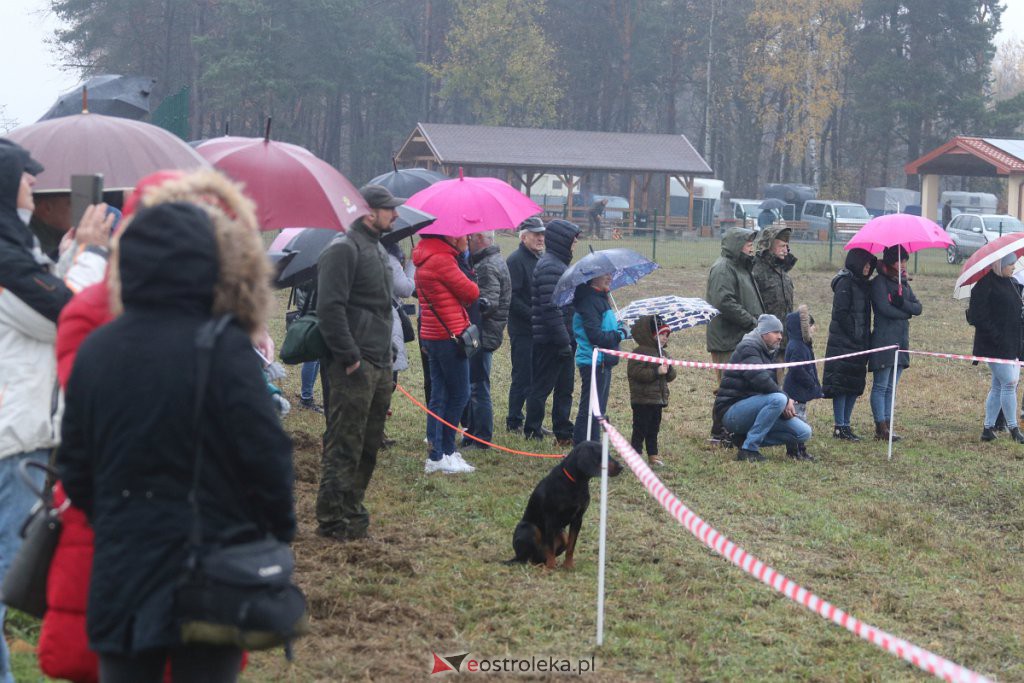 Hubertus 2022 w Ławach [05.11.2022] - zdjęcie #61 - eOstroleka.pl