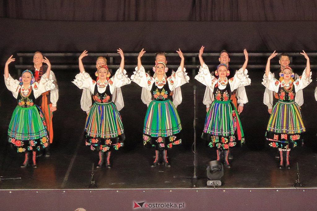 Śląsk w Ostrołęce. Piękny koncert, imponujące widowisko [05.11.2022] - zdjęcie #8 - eOstroleka.pl
