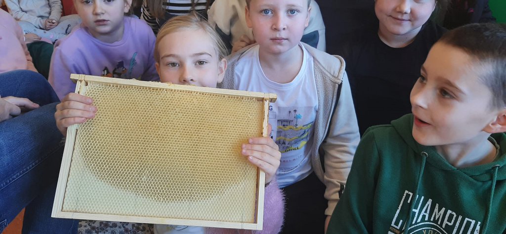 Lekcja o pszczołach w Szkole Postawowej nr 6 - zdjęcie #2 - eOstroleka.pl