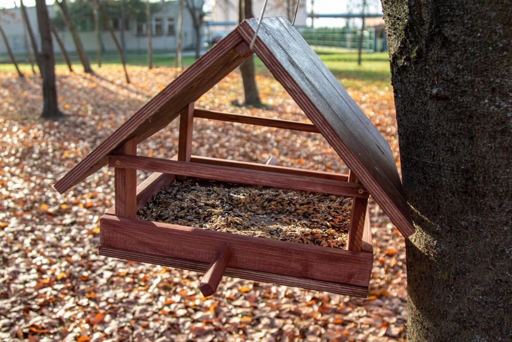 Młodzież ZSZ 3 włączyła się w akcję zimowego dokarmiania ptaków - zdjęcie #14 - eOstroleka.pl