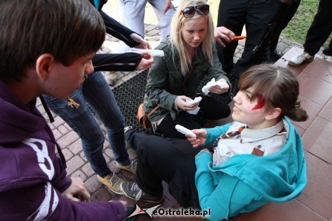 Podróże kształcą (05-04-2011) - zdjęcie #24 - eOstroleka.pl