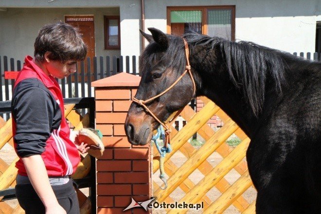 Podróże kształcą (05-04-2011) - zdjęcie #18 - eOstroleka.pl