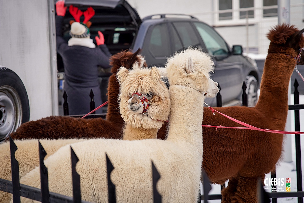 Spotkanie opłatkowe w Lelisie [19.12.2022] - zdjęcie #53 - eOstroleka.pl