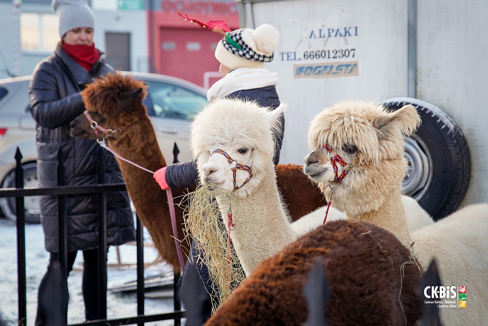 Spotkanie opłatkowe w Lelisie [19.12.2022] - zdjęcie #40 - eOstroleka.pl