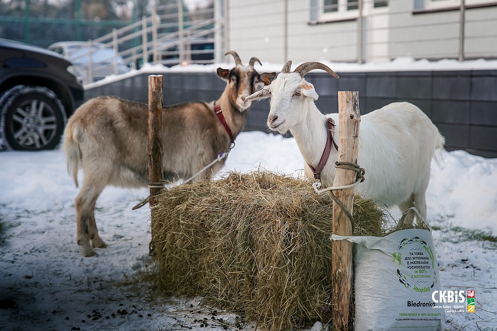 Spotkanie opłatkowe w Lelisie [19.12.2022] - zdjęcie #2 - eOstroleka.pl