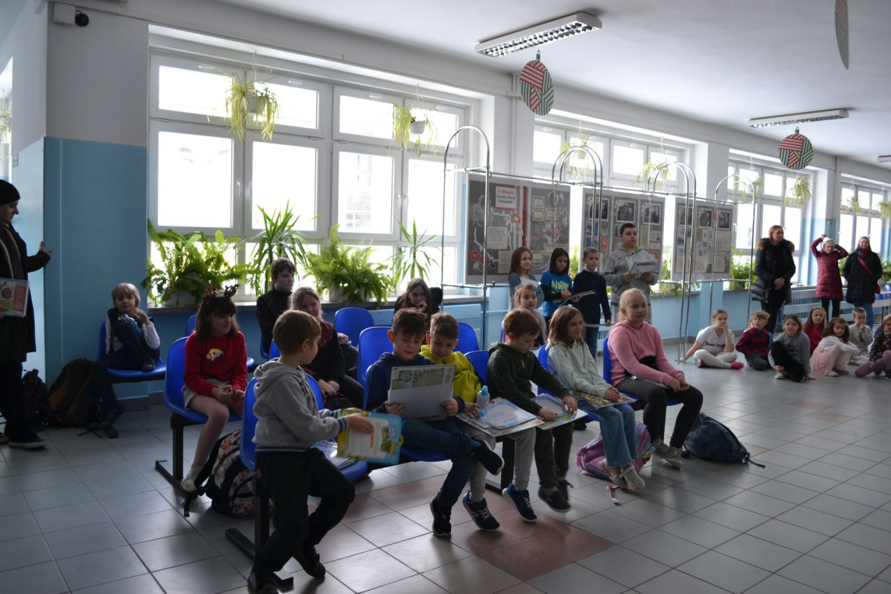 Ekoozdoby choinkowe. Konkurs w Szkole Podstawowej nr 10 - zdjęcie #2 - eOstroleka.pl