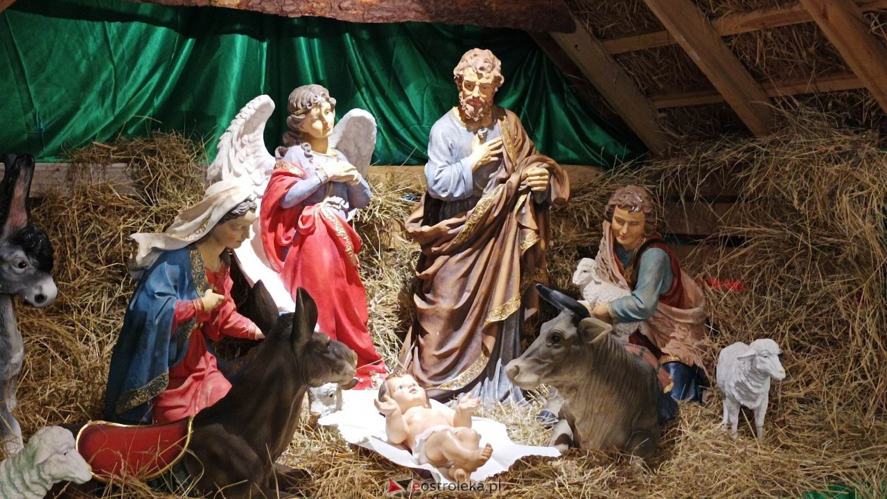 Bożonarodzeniowe szopki w ostrołęckich kościołach [25.12.2022] - zdjęcie #5 - eOstroleka.pl