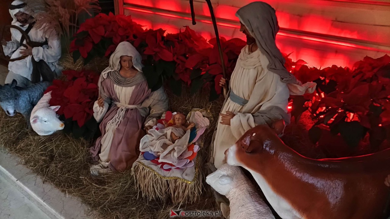 Bożonarodzeniowe szopki w ostrołęckich kościołach [25.12.2022] - zdjęcie #20 - eOstroleka.pl
