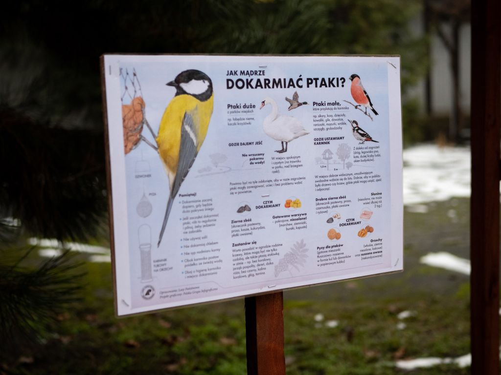 Karmiki dla ptaków w Przedszkolach Miejskich w Ostrołęce - zdjęcie #8 - eOstroleka.pl