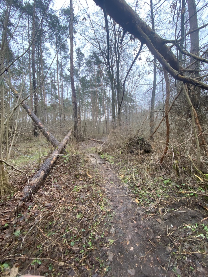 W tym miejscu powstaje ścieżka spacerowa [10.01.2023] - zdjęcie #7 - eOstroleka.pl