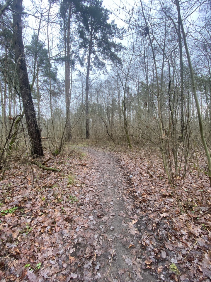 W tym miejscu powstaje ścieżka spacerowa [10.01.2023] - zdjęcie #12 - eOstroleka.pl