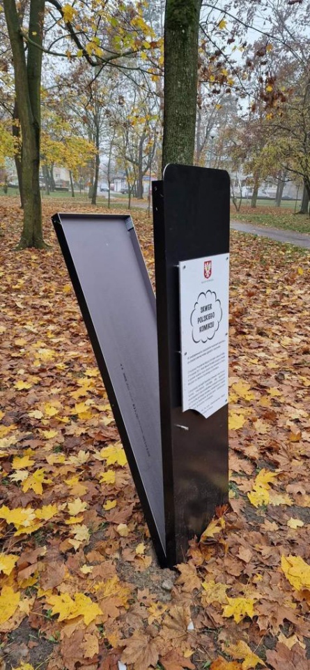 Szczyt głupoty! Ktoś ponownie zniszczył komiksowe tabliczki w parku miejskim [10.01.2023] - zdjęcie #8 - eOstroleka.pl