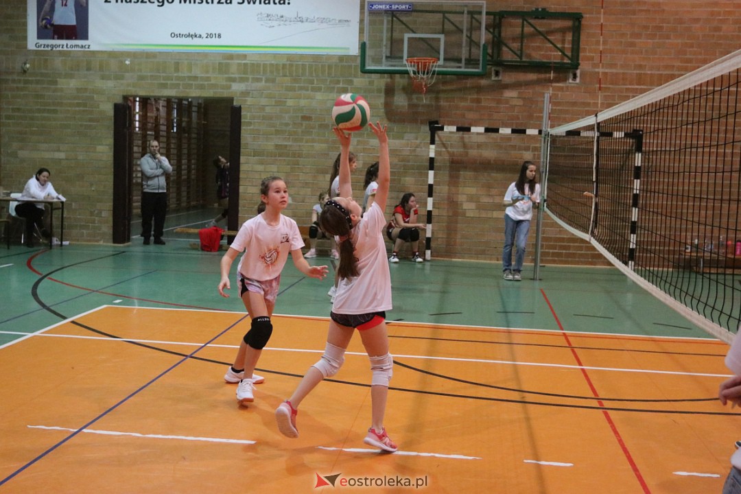 Turniej minisiatkówki w SP 5 [14.01.2023] - zdjęcie #47 - eOstroleka.pl