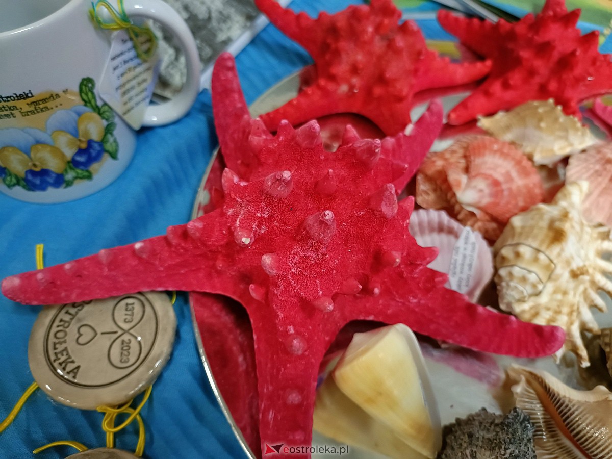 Za nami pierwsza tegoroczna giełda kolekcjonerów [15.01.2023] - zdjęcie #1 - eOstroleka.pl