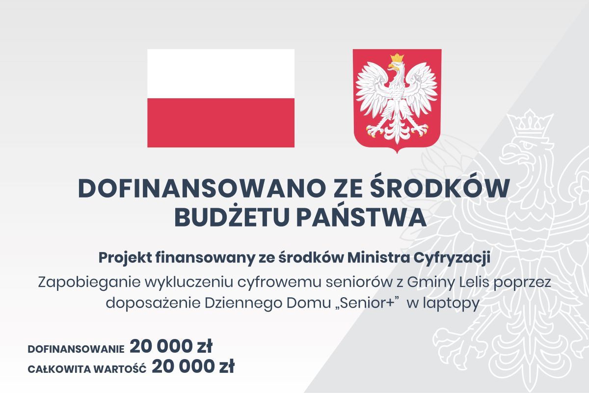 Seniorzy z Durlas podnoszą swoje cyfrowe kompetencje [22.02.2023] - zdjęcie #1 - eOstroleka.pl