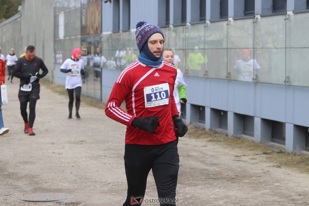 Bieg Tropem Wilczym 2023 [05.03.2023] - zdjęcie #77 - eOstroleka.pl