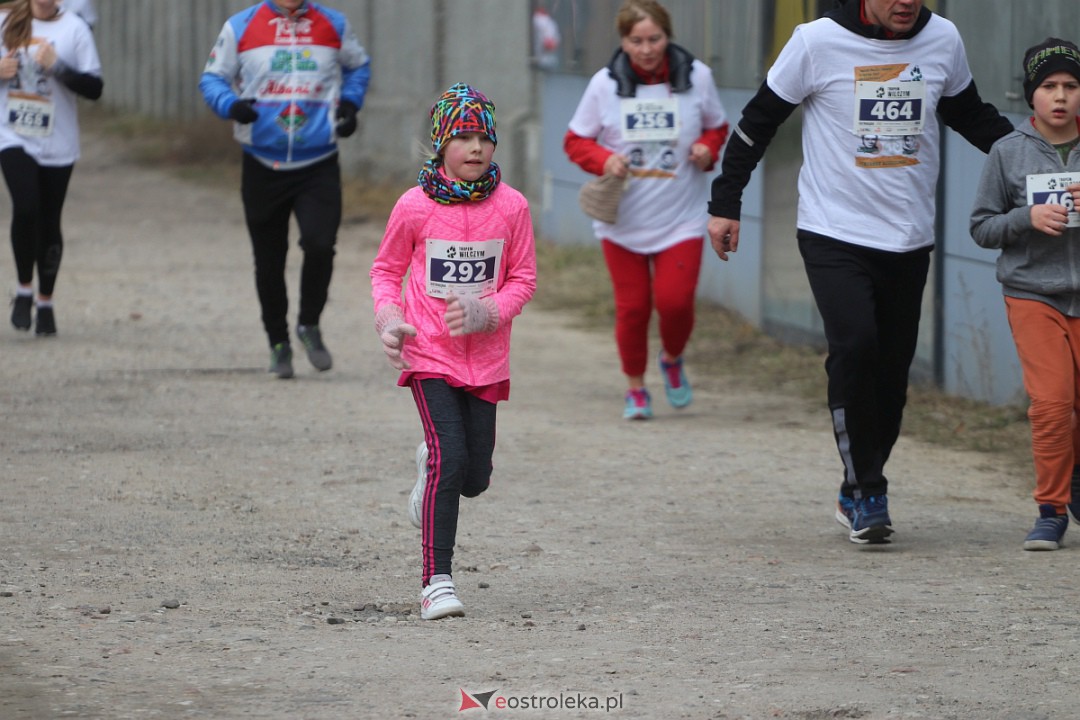 Bieg Tropem Wilczym 2023 [05.03.2023] - zdjęcie #51 - eOstroleka.pl