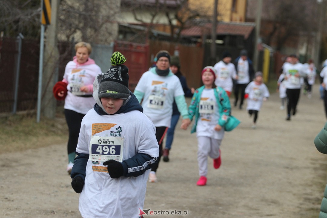 Bieg Tropem Wilczym 2023 [05.03.2023] - zdjęcie #34 - eOstroleka.pl