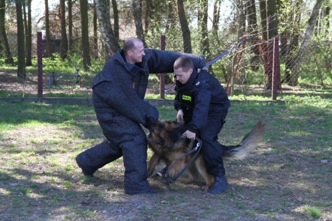 ćwiczenia policji (20-04-2011) - zdjęcie #10 - eOstroleka.pl