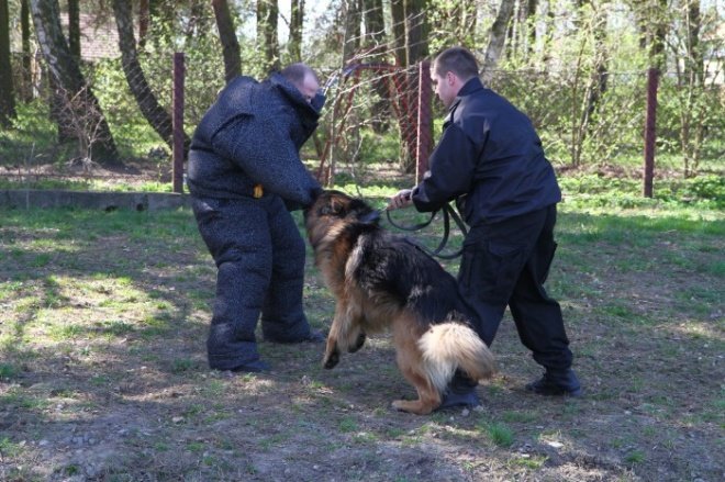 ćwiczenia policji (20-04-2011) - zdjęcie #11 - eOstroleka.pl