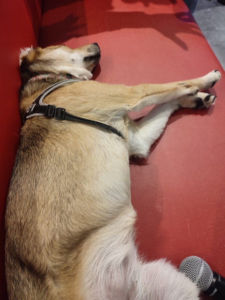 Marcin Meller z wizytą w Kadzidle [14.03.2023] - zdjęcie #20 - eOstroleka.pl