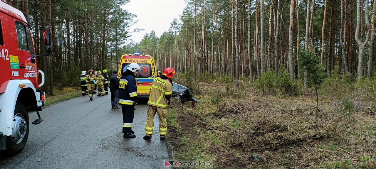 Wypadek na trasie Kadzidło - Gleba. Strażacy pomogli kobiecie wydostać się z rozbitego pojazdu [31.03.2023] - zdjęcie #2 - eOstroleka.pl