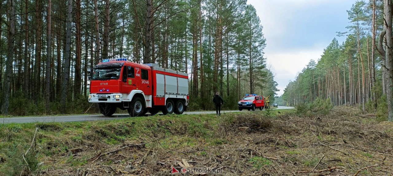 Wypadek na trasie Kadzidło - Gleba. Strażacy pomogli kobiecie wydostać się z rozbitego pojazdu [31.03.2023] - zdjęcie #6 - eOstroleka.pl