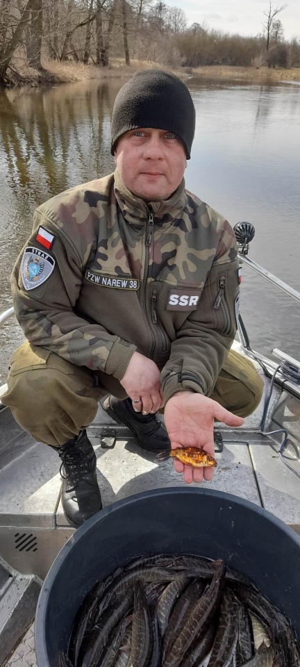 Akcja zarybiania na Omulwi [01.04.2023] - zdjęcie #5 - eOstroleka.pl